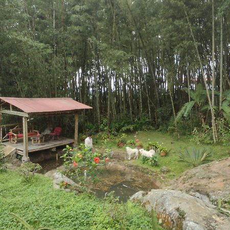 Finca clima templado, quebrada y jacuzzi; los clientes pueden usar todo el espacio y no tendrán que compartirlo con el anfitrión ni con otros huéspedes, calles en buen estado Alban  Esterno foto