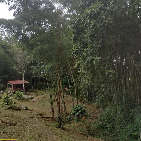 Finca clima templado, quebrada y jacuzzi; los clientes pueden usar todo el espacio y no tendrán que compartirlo con el anfitrión ni con otros huéspedes, calles en buen estado Alban  Esterno foto