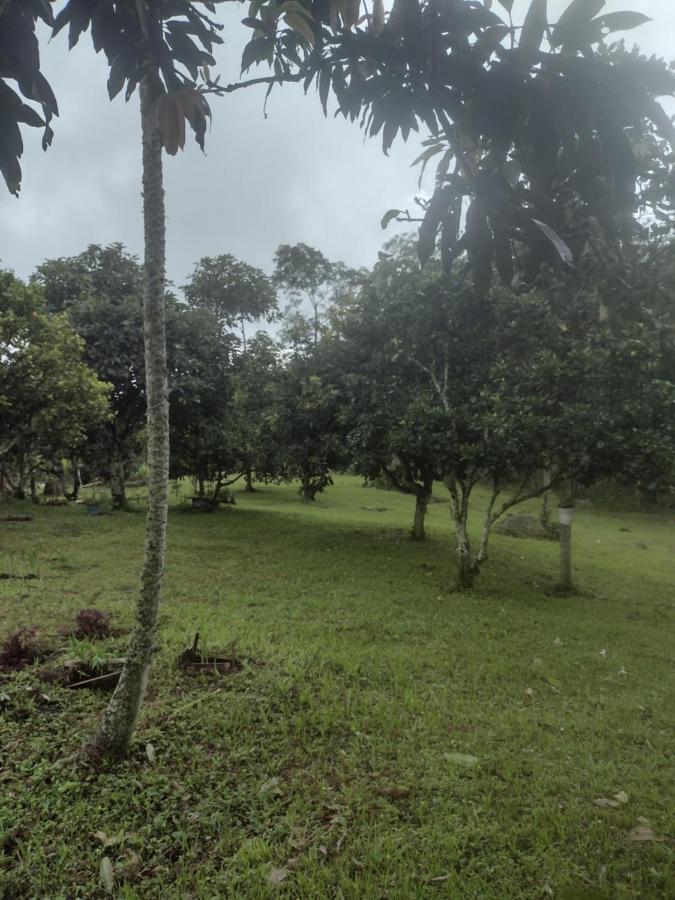 Finca clima templado, quebrada y jacuzzi; los clientes pueden usar todo el espacio y no tendrán que compartirlo con el anfitrión ni con otros huéspedes, calles en buen estado Alban  Esterno foto