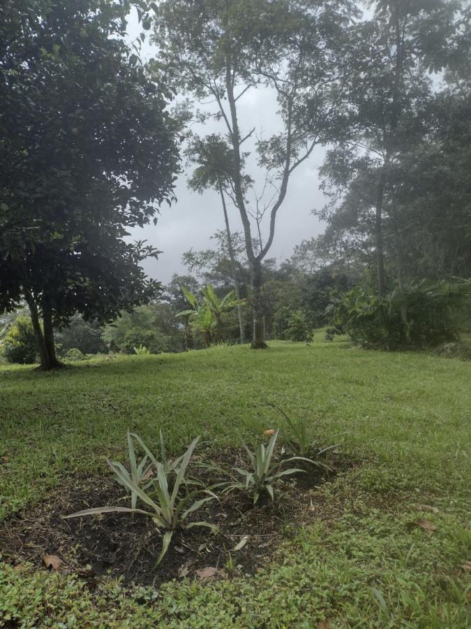 Finca clima templado, quebrada y jacuzzi; los clientes pueden usar todo el espacio y no tendrán que compartirlo con el anfitrión ni con otros huéspedes, calles en buen estado Alban  Esterno foto
