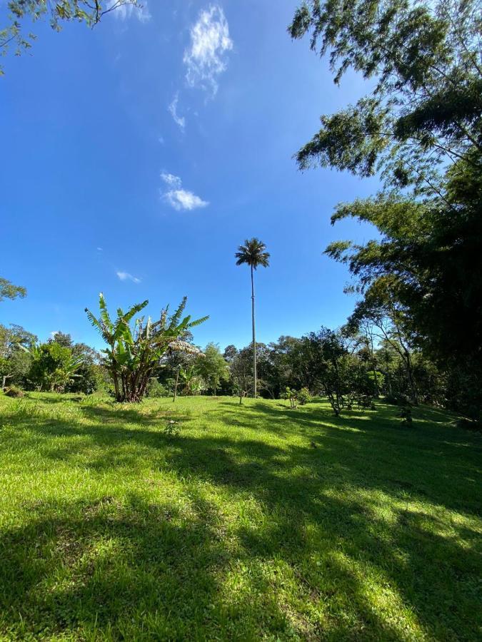 Finca clima templado, quebrada y jacuzzi; los clientes pueden usar todo el espacio y no tendrán que compartirlo con el anfitrión ni con otros huéspedes, calles en buen estado Alban  Esterno foto