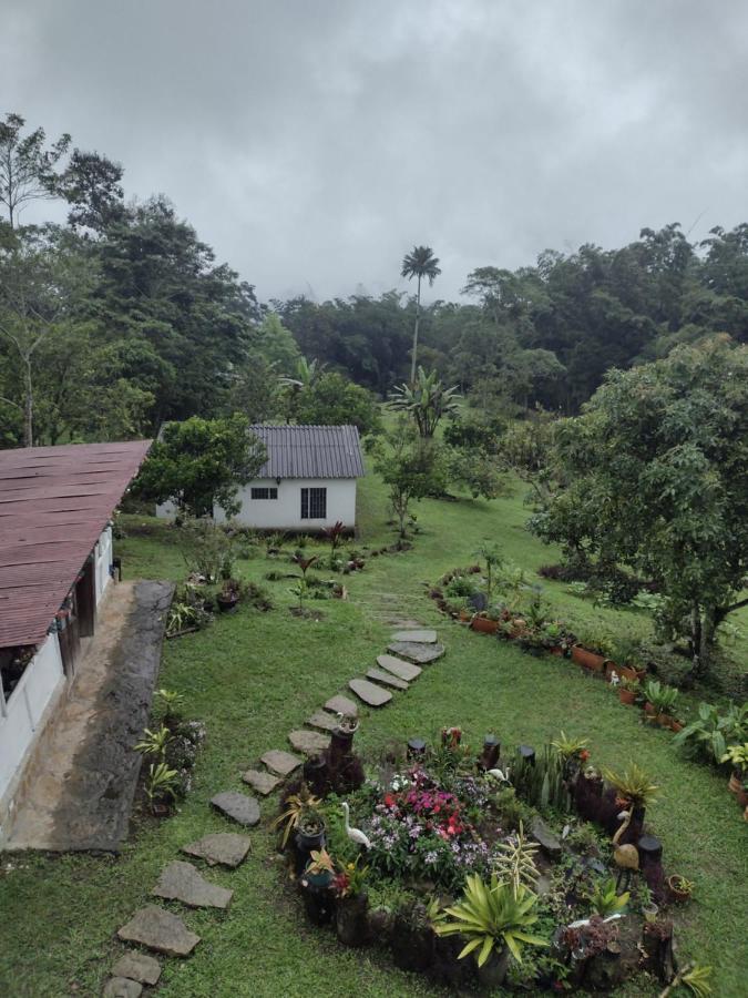 Finca clima templado, quebrada y jacuzzi; los clientes pueden usar todo el espacio y no tendrán que compartirlo con el anfitrión ni con otros huéspedes, calles en buen estado Alban  Esterno foto