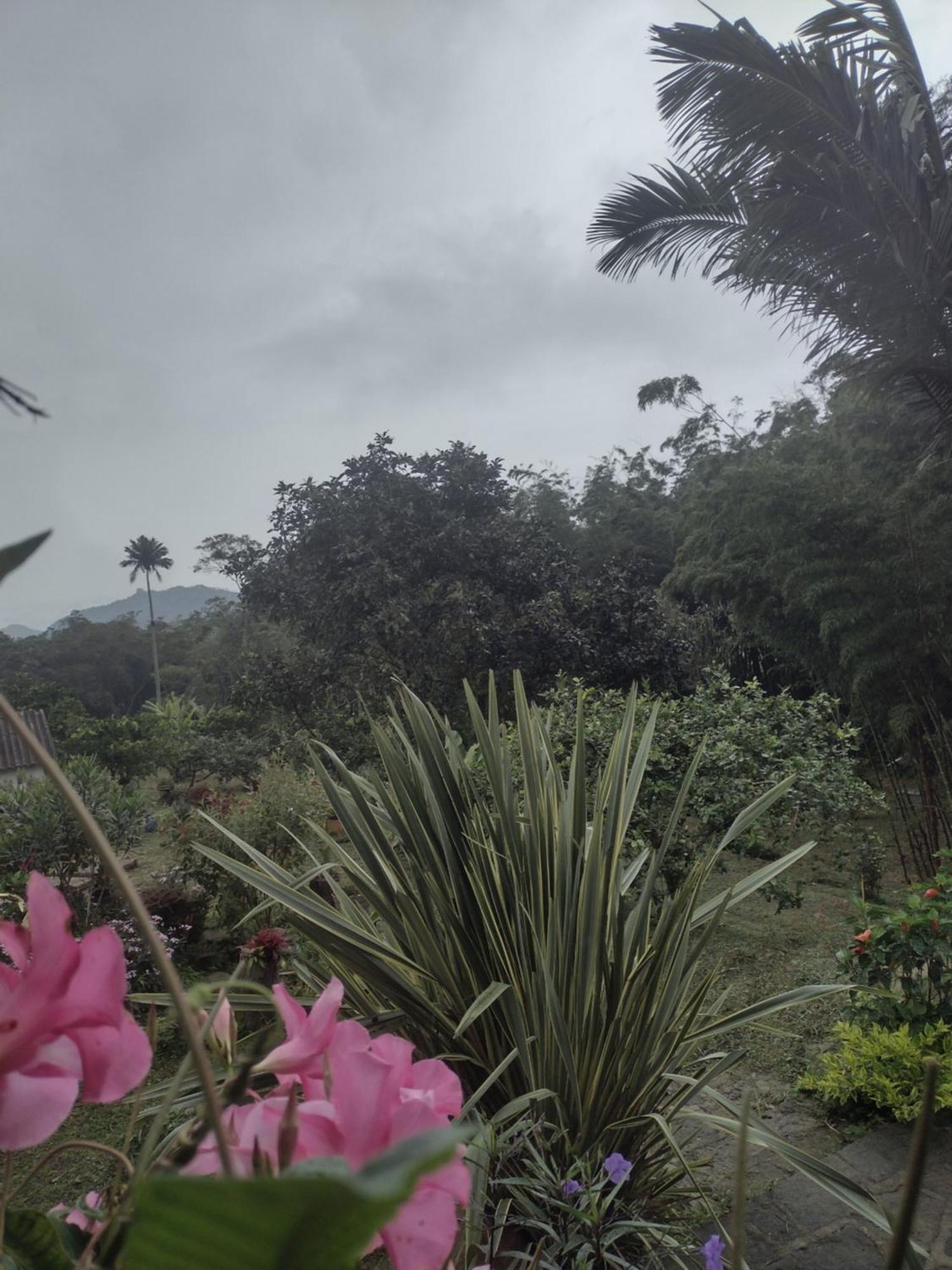 Finca clima templado, quebrada y jacuzzi; los clientes pueden usar todo el espacio y no tendrán que compartirlo con el anfitrión ni con otros huéspedes, calles en buen estado Alban  Esterno foto